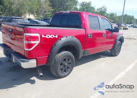 2009 Ford F-150 Fx4/King Ranch/Lariat/Platinum/Xl/Xlt z USA, uszkodzony, nr VIN 1FTPW14V59FB39284